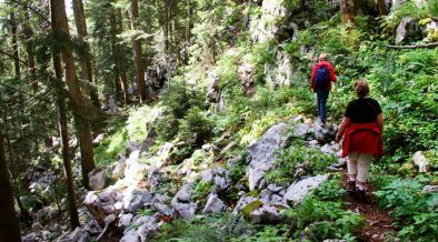 Waldbaden in der Kvarner-Region