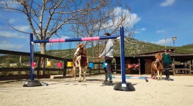 Pony beim Geschicklichkeitstraining im Konjički Klub Kolan - Happy Horse Farm in Šibenik