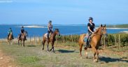 Reitergruppe von Samy's Ranch nahe Medulin am Meer