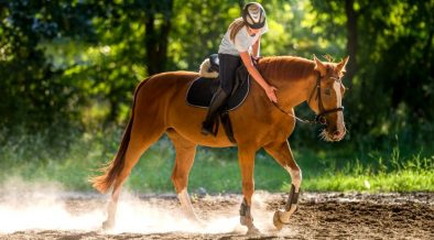 Reiterin und ihr Pferd beim Reiten in Karlovac - Lika