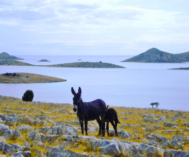 Nationalpark Kornati