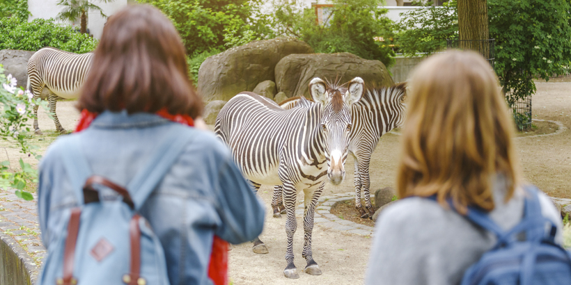 Zoo Osijek