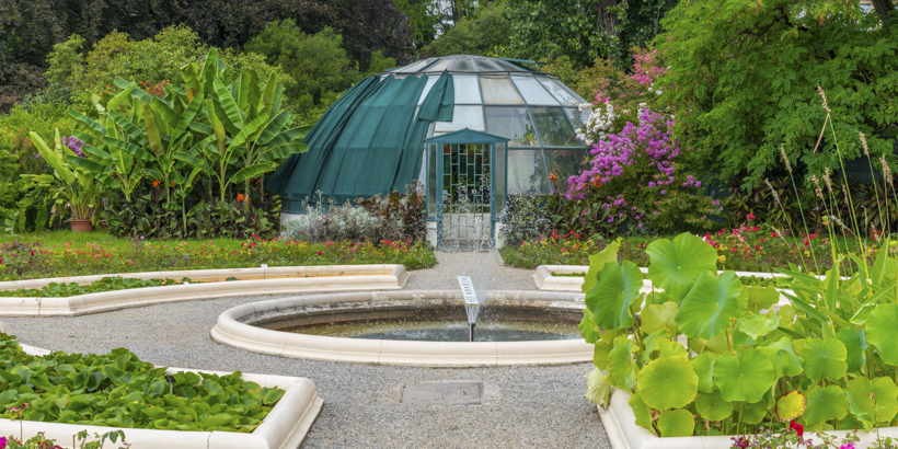 botanische Garten in Zagreb