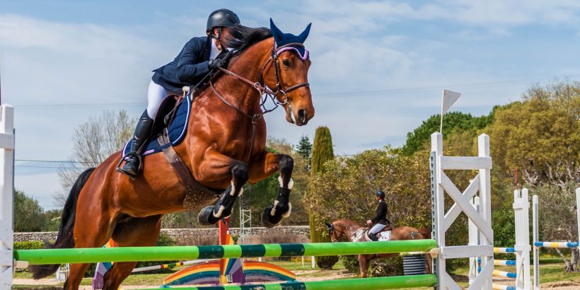 Pferd und Reiter beim Sprungreiten im Wettkampf - Reiten in Zagreb