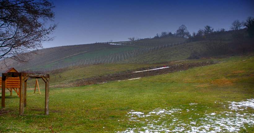 Plešivica Weingut Braje Weinberg