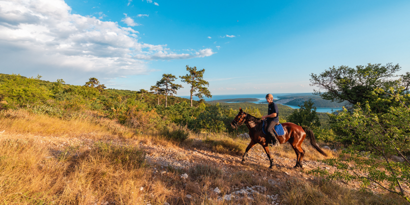 Reiten in Istrien