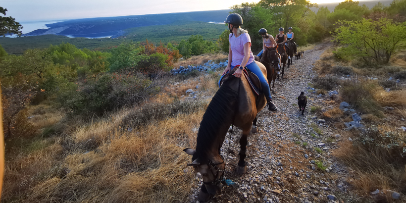 Reiten in Istrien