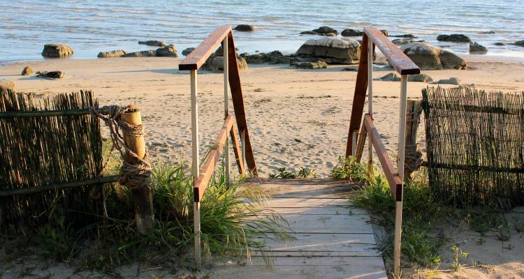 Strand Zambratija