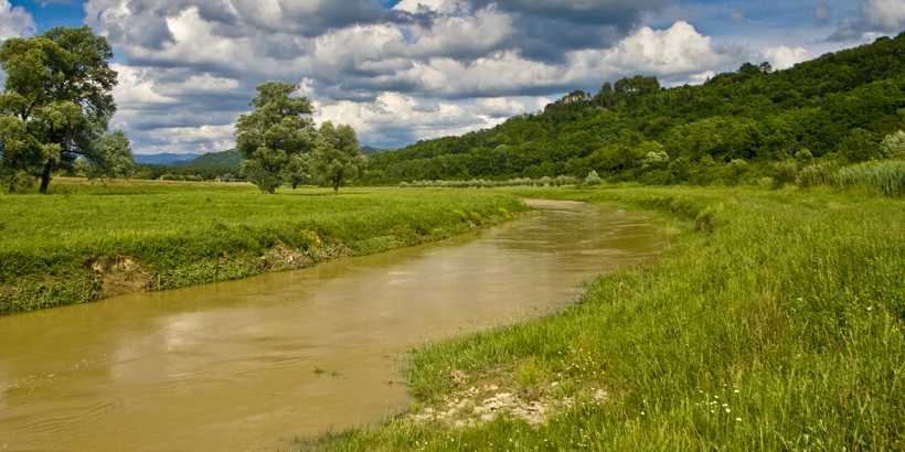 Abenteuer am Fluss Mirna