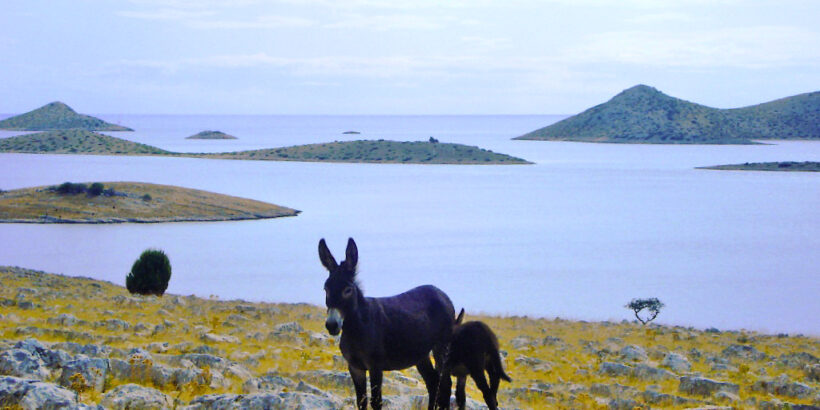 Nationalpark Kornati