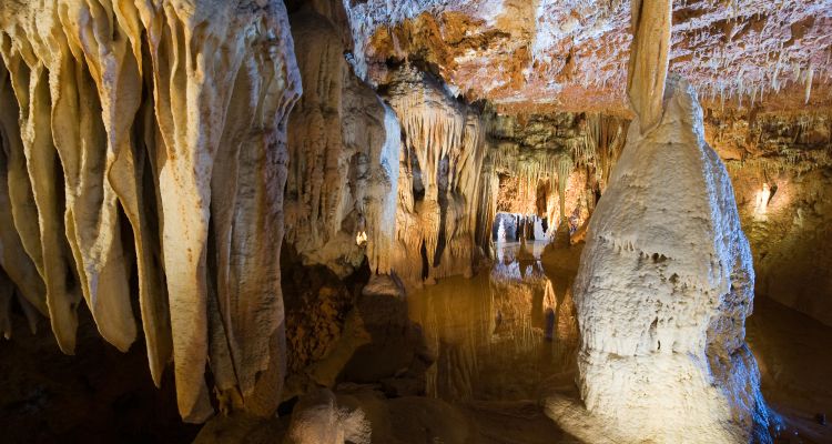 Porec: Grotte Baredine